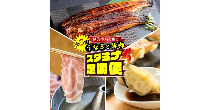 【ふるさと納税】渥美半島の恵み スタミナ 定期便 3回 ( うなぎ / 豚肉 / 餃子) 惣菜 3ヶ月 魚 鰻 ウナギ 蒲焼 豚 ポーク 丼 ブランド お楽しみ 幻の青うなぎ 人気 愛知県 田原市