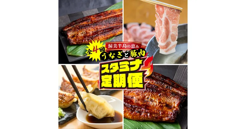 【ふるさと納税】渥美半島の恵み スタミナ 定期便 4回 ( うなぎ / 豚肉 / 餃子 / うなぎ) 惣菜 4ヶ月 魚 鰻 ウナギ 蒲焼 豚 ポーク 丼 ブランド お楽しみ 海の幸 人気 愛知県 田原市