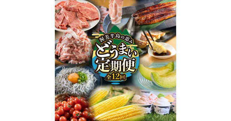 【ふるさと納税】渥美半島の恵み どうまい 定期便 全12回 ( しらす / ブランド豚 / 餃子 / ジェラート / 豚肉 / メロン / うなぎ / とうもろこし / 焼き鳥 / トマト / 牛肉 / 蒲焼 ) 12ヶ月 1年 鰻 ウナギ 蒲焼 高評価 お楽しみ 海の幸 人気 愛知県 1