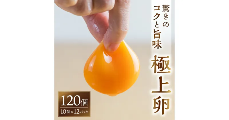 【ふるさと納税】感動 極上卵 120 個 割れ保証付き たまご カミヤタマゴ たまこちゃん 卵 鶏卵 玉子 たまごかけご飯 お取り寄せ 小分け 生卵 濃厚 ケーキ お菓子 づくり 高級 定期便 3ヶ月 6ヶ月 12ヶ月 卵かけご飯 TKG 卵料理 玉子 毎月 定期 幻 入手困難 人気 濃厚 120個