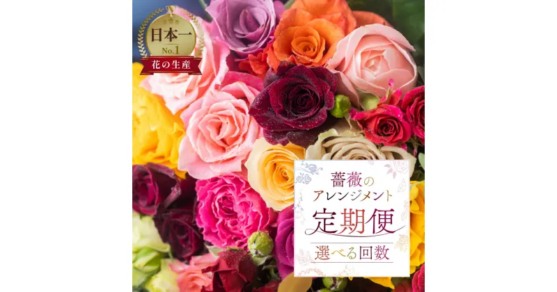 【ふるさと納税】【定期便】回数が選べる 薔薇 アレンジメント 花束 (20本+ユーカリ) 6回 12回 お届け 6ヶ月 12ヶ月 アレンジブーケ バラ ローズ 生花 赤 ピンク 色おまかせ プレゼント 花 ギフト 誕生日 植物 フラワー 産地直送 田原市 人気 切り花 切花