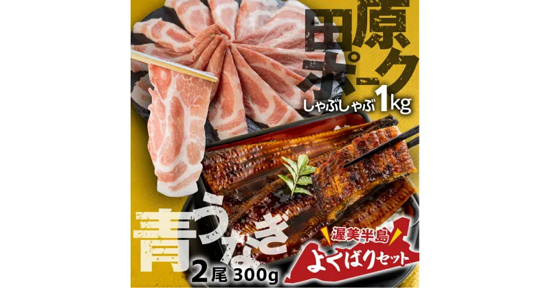 【ふるさと納税】幻の青うなぎ ＆ 田原ポーク セット うなぎ 訳あり 蒲焼 2尾 国産 豚肉 食べ比べ 500g × 2 計 1kg ウナギ 鰻 蒲焼き 最高級 長蒲焼 特大サイズ 楽天限定 土用丑の日 丑の日 簡単調理 惣菜 小分け 個包装 unagi 送料無料