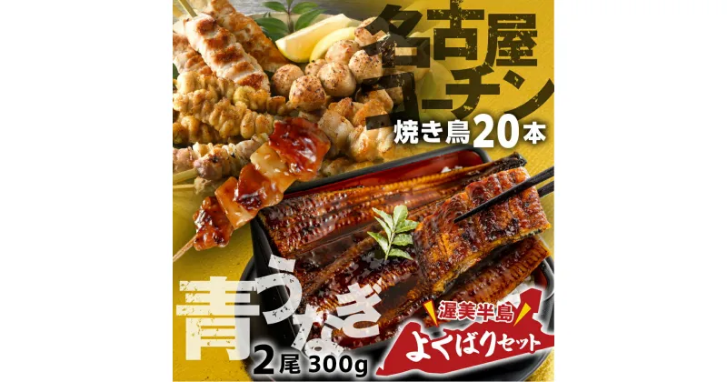 【ふるさと納税】幻の青うなぎ ＆ 名古屋コーチン セット うなぎ 訳あり 蒲焼 2尾 鶏三和 名古屋コーチン 焼き鳥 5種盛り 20本鰻 蒲焼き 最高級 長蒲焼 特大サイズ 楽天限定 土用丑の日 簡単調理 惣菜 地鶏 焼鳥 やきとり unagi 送料無料