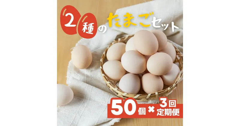 【ふるさと納税】希少な2種のたまごセット 50個 3ヶ月定期便 割れ保証付き 卵 たまご 鶏卵 50 お楽しみ 定期便 3回 3か月 3カ月