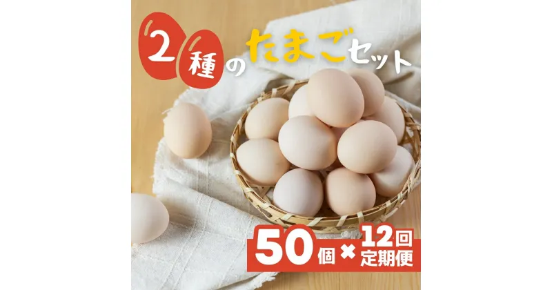 【ふるさと納税】希少な2種のたまごセット 50個 12ヶ月定期便 割れ保証付き 卵 たまご 鶏卵 50 お楽しみ 定期便 12回 12か月 12カ月 1年