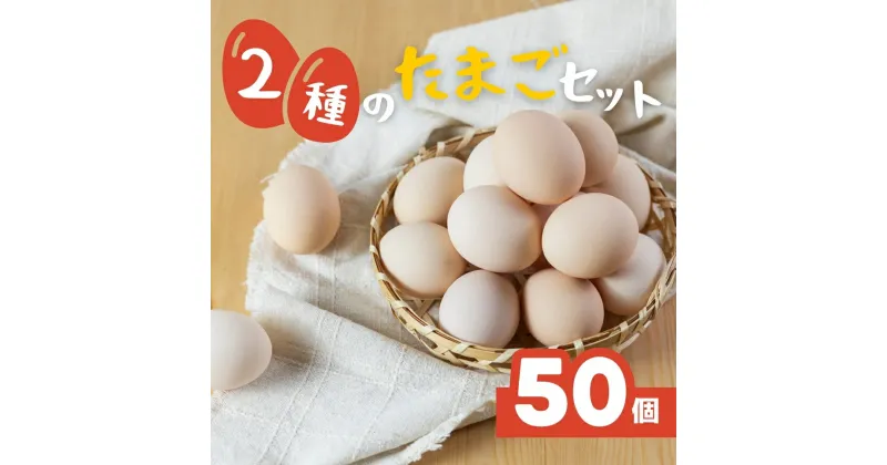 【ふるさと納税】希少な2種のたまごセット 50個 割れ保証付き 卵 たまご 鶏卵 50 お楽しみ