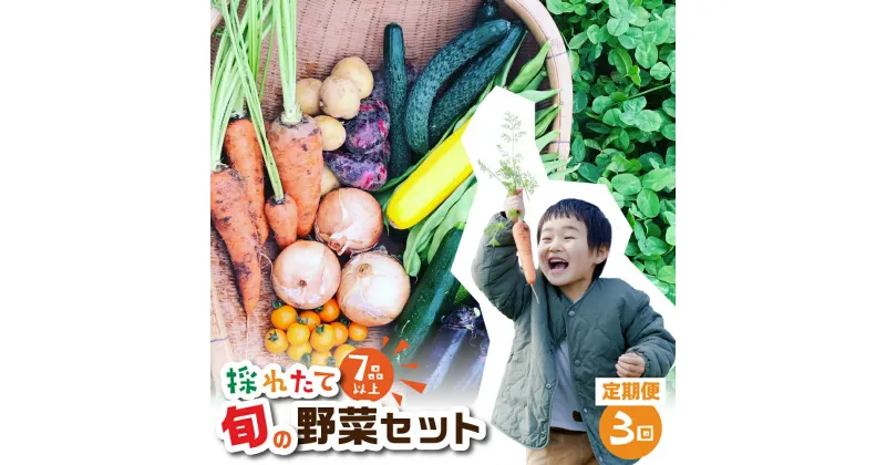 【ふるさと納税】金賞受賞 旬彩野菜セット 3回 定期便 旬の野菜 7品目以上 レシピ付き お届け 国産 新鮮 農薬不使用 化学肥料不使用 野菜ソムリエ 旬の目利き 高評価 安心 安全 農家直送 直送 産地直送 こだわり野菜 送料無料