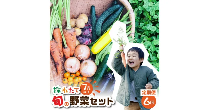 【ふるさと納税】金賞受賞 旬彩野菜セット 6回 定期便 旬の野菜 7品目以上 レシピ付き お届け 国産 新鮮 農薬不使用 化学肥料不使用 野菜ソムリエ 旬の目利き 高評価 安心 安全 農家直送 直送 産地直送 こだわり野菜 送料無料