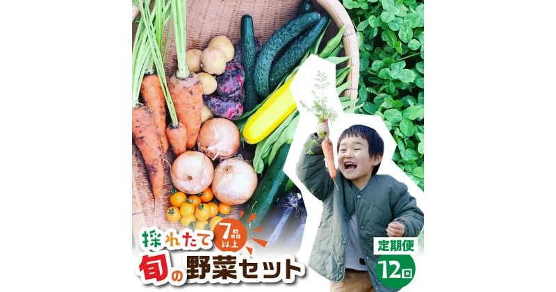 【ふるさと納税】金賞受賞 旬彩野菜セット 12回 定期便 旬の野菜 7品目以上 レシピ付き お届け 国産 新鮮 農薬不使用 化学肥料不使用 野菜ソムリエ 旬の目利き 高評価 安心 安全 農家直送 直送 産地直送 こだわり野菜 送料無料