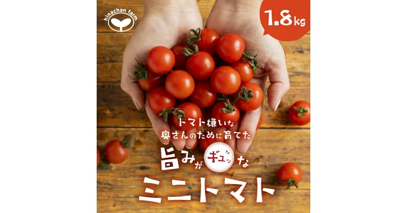 【ふるさと納税】旨み詰め込み ミニトマト 1.8kg 先行予約受付 期間限定 季節限定 野菜 国産 完熟 やさい フルーツ トマト 完熟 キャロル ミニトマト プチ お弁当 贈り物 おやつ サラダ 送料無料 産地直送