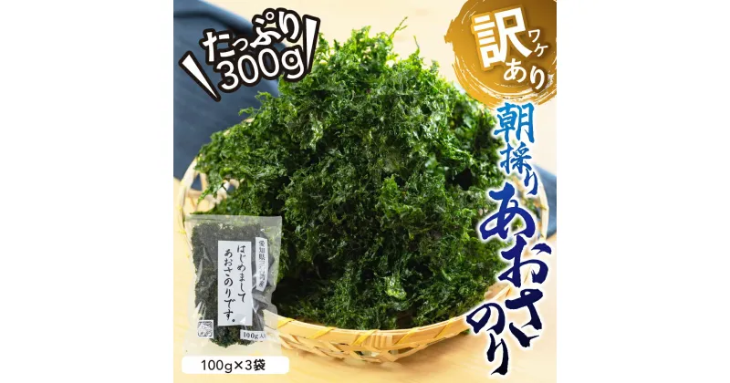 【ふるさと納税】訳あり あおさ 300g 100g×3袋 簡易包装 愛知県 三河湾産 「はじめまして あおさのり です。」あおさ海苔 海苔 味噌汁 みそ汁 具 海藻類 アオサ 訳アリ 大容量 送料無料 国産 食品 田原市 人気