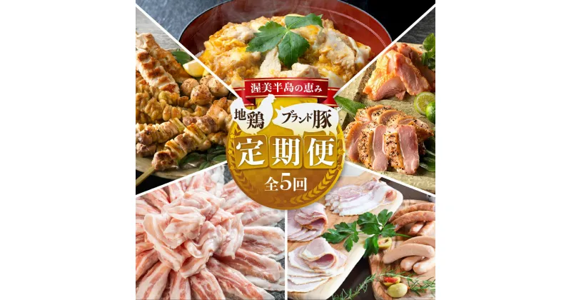 【ふるさと納税】渥美半島の恵み ブランド豚・地鶏 定期便 全5回 ( 名古屋コーチン 親子丼 ブランド豚 ハム ソーセージ 田原ポーク 地鶏 やきとり しゃぶしゃぶ 豚肉 豚 小分け 個包装 食べ比べ 惣菜 5ヶ月 地鶏 ブランド豚 簡単調理 冷凍 冷凍食品 高評価