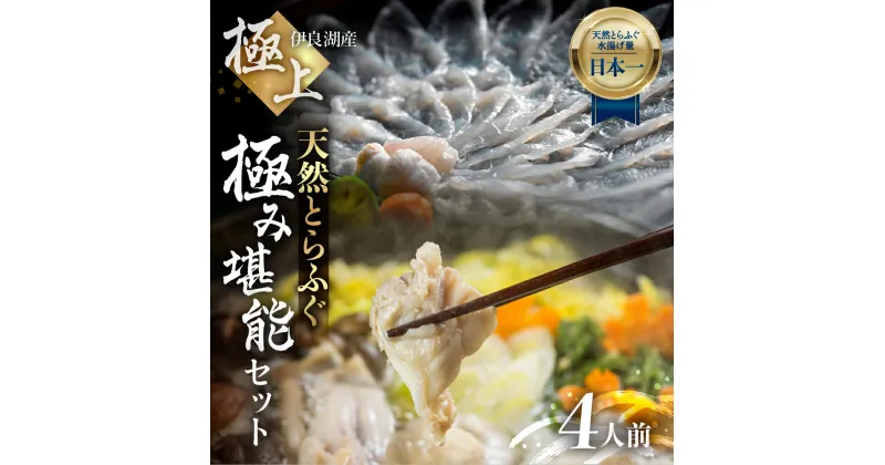 【ふるさと納税】最高級 天然とらふぐ 極上セット 雅 4人前 薄造り アラ とらふぐ唐揚げ 皮湯引き ヒレ酒用ヒレ 薬味付き ギフトセット 堪能セット 伊良湖産天然 とらふぐ フグ 愛知県 田原市