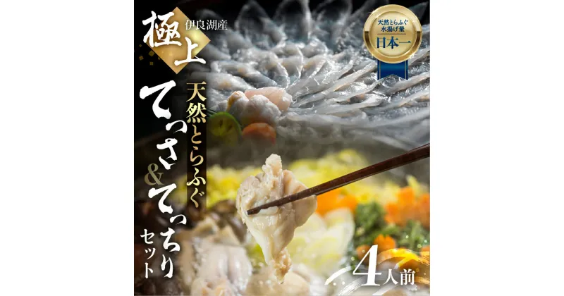 【ふるさと納税】天然とらふぐセット 華 4人前 薄造り アラ 皮湯引き ヒレ酒用ヒレ 薬味付き ギフトセット 堪能セット 伊良湖産天然 とらふぐ フグ 愛知県 田原市