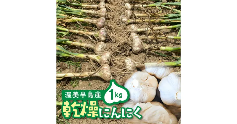 【ふるさと納税】25年発送分 ≪先行予約≫ 訳あり 渥美半島産　ニンニク （乾燥）1kg 簡易包装 にんにく 国産にんにく 平戸にんにく 愛知県 田原市