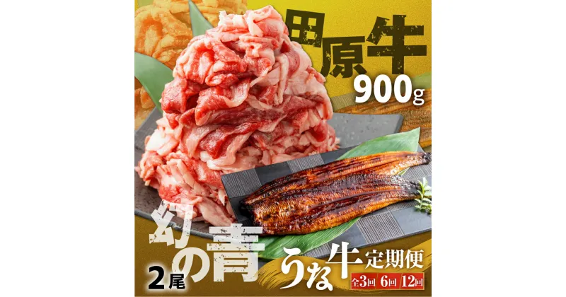 【ふるさと納税】幻の青うなぎ＆田原牛 堪能 定期便 うなぎ 国産 牛肉 切り落とし 大容量 選べる 3回 6回 12回 定期 1年 赤身 カルビ 肉 蒲焼 長蒲焼 高評価 ランキング 1位 鰻 2尾 しゃぶしゃぶ すき焼き 焼肉 ごちそう お楽しみ 送料無料 愛知県 田原市