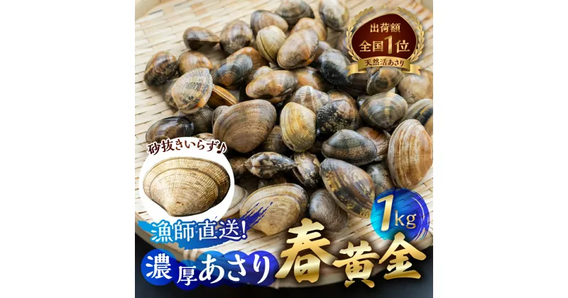 【ふるさと納税】渥美産 垂下あさり 春黄金 1kg あさり ブランドあさり 浅利 ダシ 出汁 味噌汁 国産 アサリ 愛知県 田原市 新鮮 砂抜き 海鮮 魚介類 魚介 貝 人気