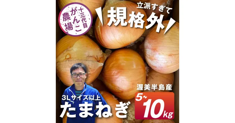 【ふるさと納税】《先行予約》　がんこ玉ねぎ　5kg ~10kg　玉葱 野菜 旬 サイズお任せ 産地直送 田原市 送料無料