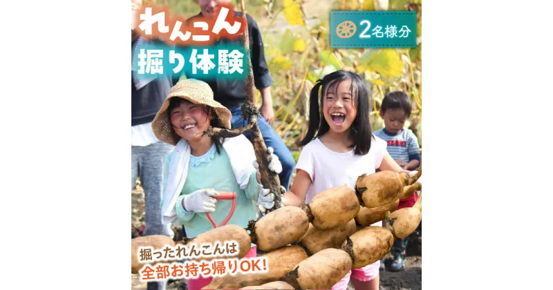 【ふるさと納税】蓮根(レンコン)掘り体験 ペアチケット 【清水食品株式会社】 れんこん 食育 体験 産地直送 愛西市/ 清水食品株式会社[AEAJ004]