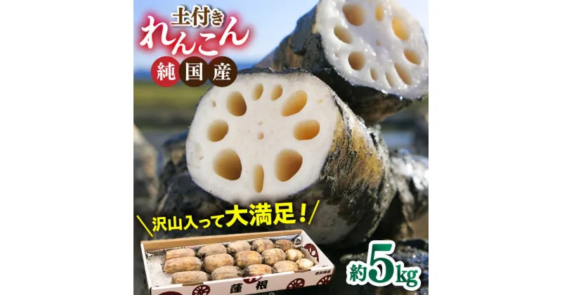 【ふるさと納税】【先行予約】愛知県愛西市産の土付き蓮根（5kg）【清水食品株式会社】 れんこん レンコン 愛知県産 野菜 産地直送 愛西市/ 清水食品株式会社[AEAJ002]