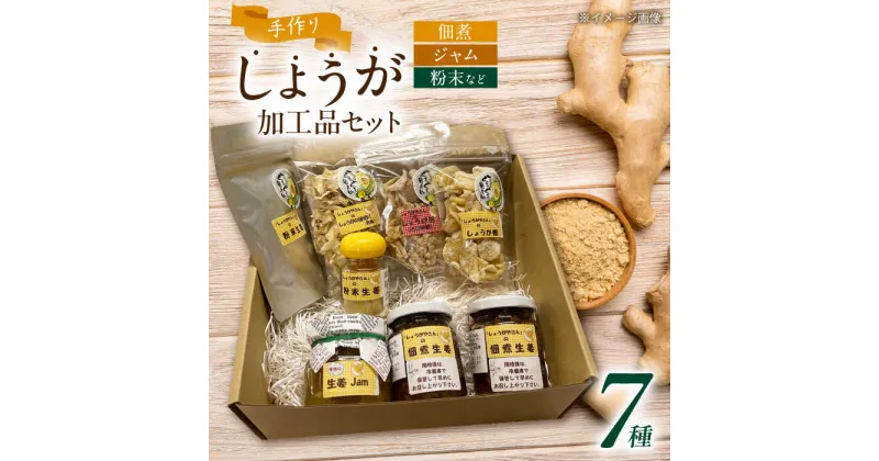 【ふるさと納税】しょうがやさんの手作り人気セット 自家製 愛知県産 しょうが 愛西市/しょうがやさん [AEAO001]