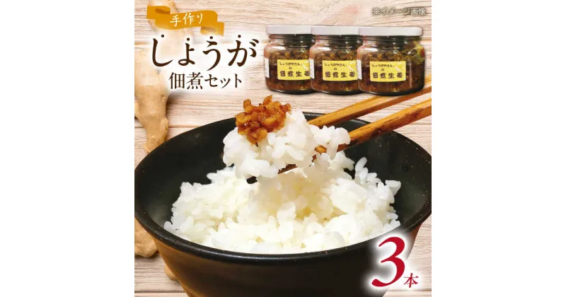 【ふるさと納税】手づくり生姜の佃煮 大瓶3本セット 自家製 愛知県産 しょうが 愛西市/しょうがやさん [AEAO003]