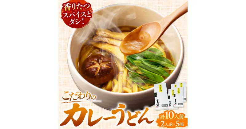 【ふるさと納税】カレーうどん2人前×5　計10人前 うどん カレー 手土産 愛西市/アロマ・フーヅ株式会社 [AEAP002]