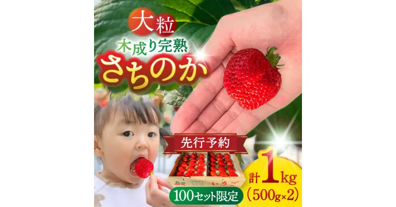 【ふるさと納税】イチゴ さちのか 500g×2パック 計1kg　いちご　フルーツ　果物　愛西市/平野苺[AEAY001]