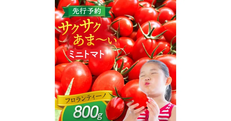 【ふるさと納税】【先行予約】　ミニトマト(フロランティーノ)　800g　トマト　野菜　新鮮　期間限定トマト　愛西市/株式会社石原農園[AEBG004]