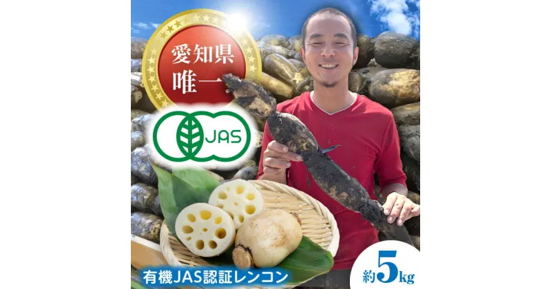 【ふるさと納税】【先行予約】有機JAS認証　土付きレンコン　5kg れんこん 有機栽培　産地直送 野菜　愛西市/株式会社山三レンコン[AEBK004]