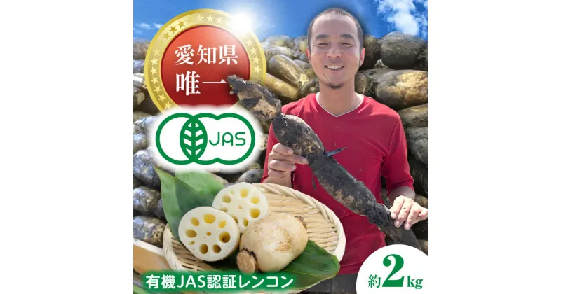 【ふるさと納税】【先行予約】有機JAS認証　土付きレンコン　2kg れんこん 有機栽培　産地直送 野菜　愛西市/株式会社山三レンコン[AEBK003]