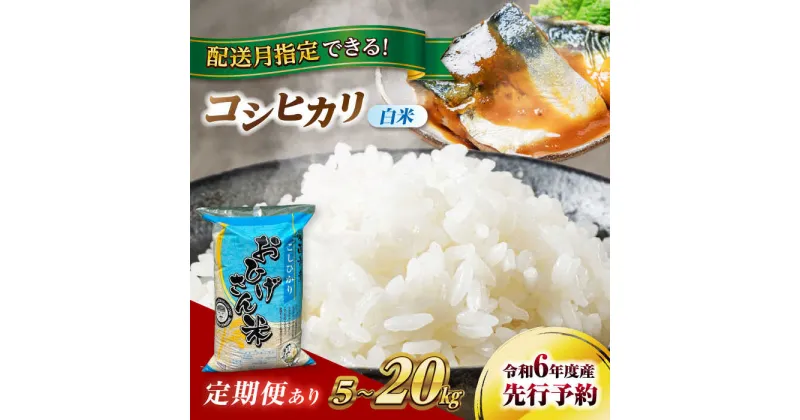 【ふるさと納税】＼選べる容量・発送月・回数／令和6年 新米 愛知県 コシヒカリ 5kg 10kg 20kg 選べる発送月 選べる回数 1回 3回 6回 12回 ブランド米 銘柄米 精米 白米 米 お米 こめ コメ ご飯 ごはん 小分け 定期便 先行予約 愛西市/脇野コンバイン[AECP021]