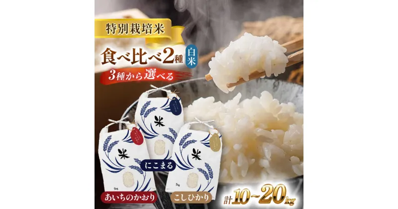 【ふるさと納税】＼選べる品種・内容量・配送月／令和6年産　愛知県産　白米　2品種食べ比べセット　特別栽培米　お米　ご飯　愛西市／戸典オペレーター[AECT004]