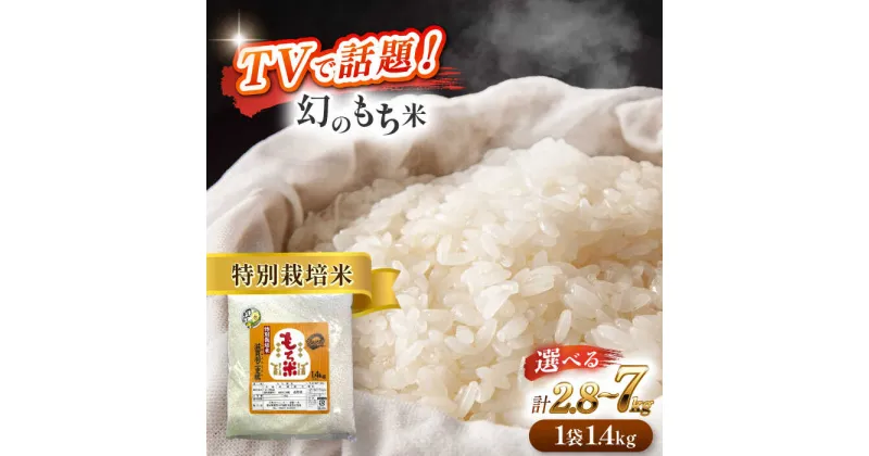 【ふるさと納税】＼選べる内容量・配送月／令和6年産　愛知県産滋賀羽二重糯　特別栽培米　もち米　ご飯／戸典オペレーター[AECT001]