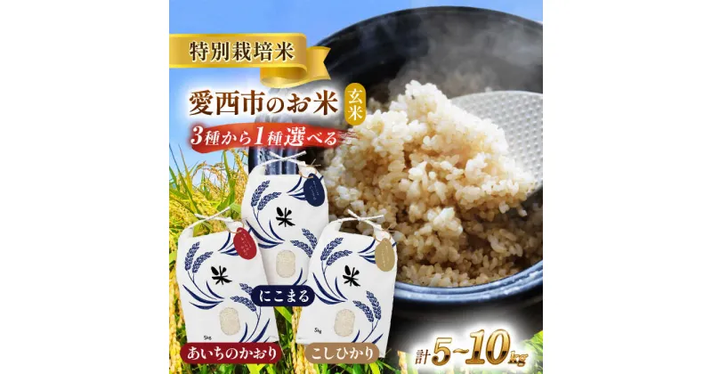 【ふるさと納税】＼選べる品種・内容量・配送月／令和6年産 愛知県産 特別栽培米 玄米 ご飯 玄米／戸典オペレーター[AECT018]