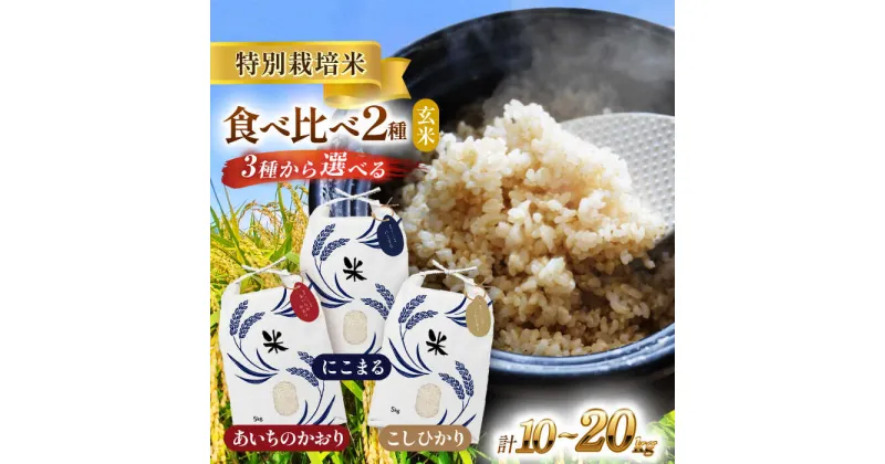 【ふるさと納税】＼選べる品種・内容量・配送月／令和6年産　愛知県産　玄米　2品種食べ比べセット　特別栽培米　お米　ご飯　愛西市／戸典オペレーター[AECT007]