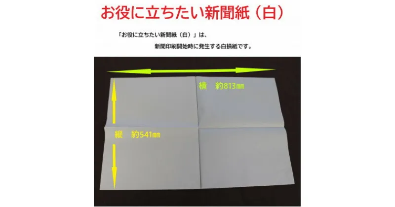 【ふるさと納税】お役に立ちたい新聞紙(白)10kg【配送不可地域：離島・沖縄県】【1384866】