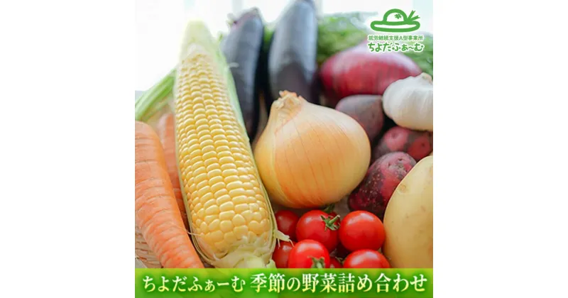 【ふるさと納税】季節の野菜詰め合わせ「ノウフク・プロジェクト」【就労支援】（常温便）　 野菜 セット 詰合せ 農福 農福JAS 無農薬 常温 　お届け：2024年10月15日～2025年3月15日