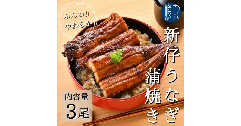 【ふるさと納税】新仔うなぎ 蒲焼き 2尾 150g以上 かね梅 ウナギ うなぎ 鰻 蒲焼 国産 三河一色産 炭火焼き 炭火 タレ たれ 丑の日 簡単調理 小分け 真空パック うな重 うな丼 ひつまぶし お取り寄せ 人気 グルメ ギフト 送料無料 株式会社かね梅 愛知県