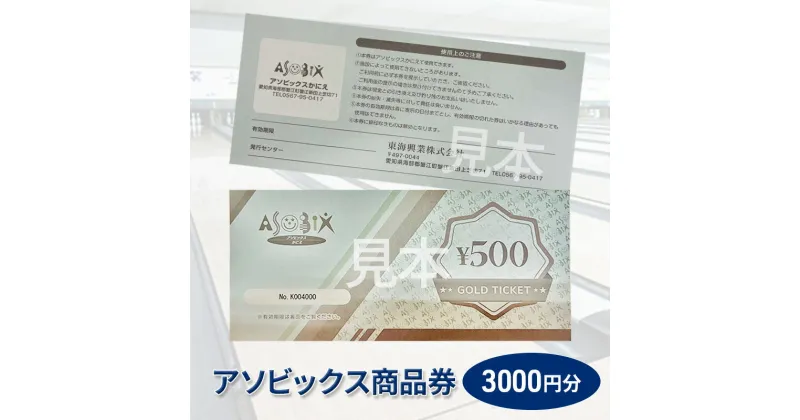 【ふるさと納税】アソビックス商品券3000円分　【チケット 商品券 】