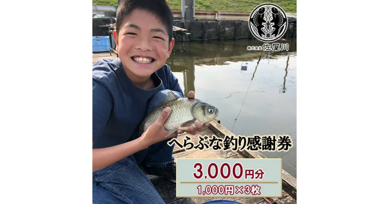 【ふるさと納税】佐屋川　へらぶな釣り感謝券3000円　【 体験チケット 体験型 釣り フィッシング 釣り体験 アクティビティ お出かけ レジャー 】