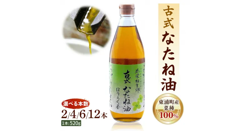 【ふるさと納税】古式なたね油 (東浦町産菜種100%) 520g入り 2本｜菜種油 植物油 国産 無農薬 愛知県 [0629]