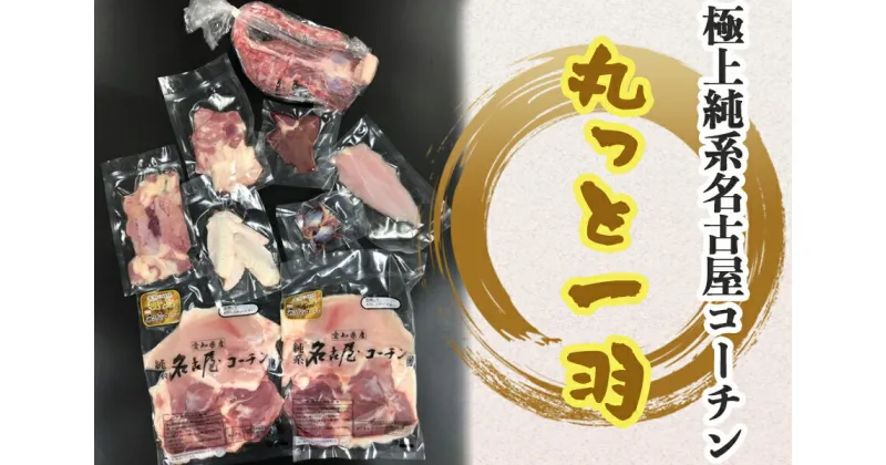 【ふるさと納税】極上純系名古屋コーチン｜鶏肉 かしわ肉 内蔵 1羽丸ごと 新鮮 愛知県 [0635]