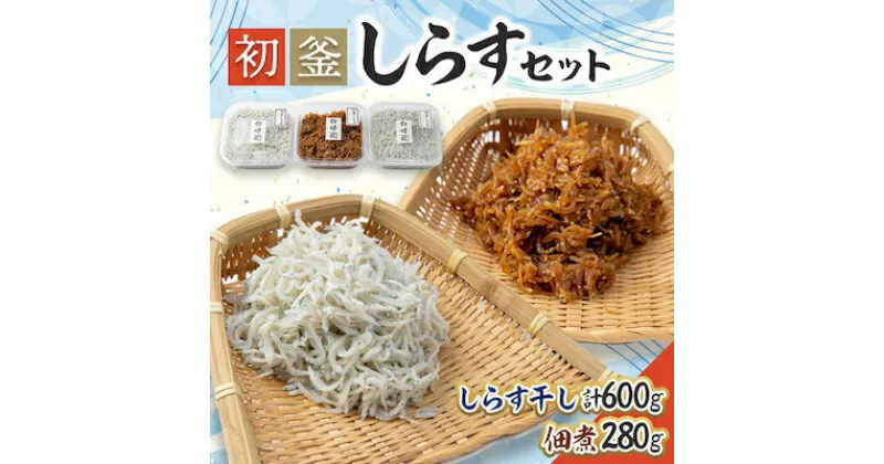 【ふるさと納税】 しらす セット 880g ( しらす 300g × 2 p 佃煮 280g ) 初釜 しらす 干し 減塩 冷凍 ( ふるさと納税 しらす ふるさと納税しらす ふるさと納税 ちりめん ふるさと納税 魚 ふるさと納税 南知多 カネ成 人気 おすすめ ) 愛知県 南知多町【配送不可：離島】