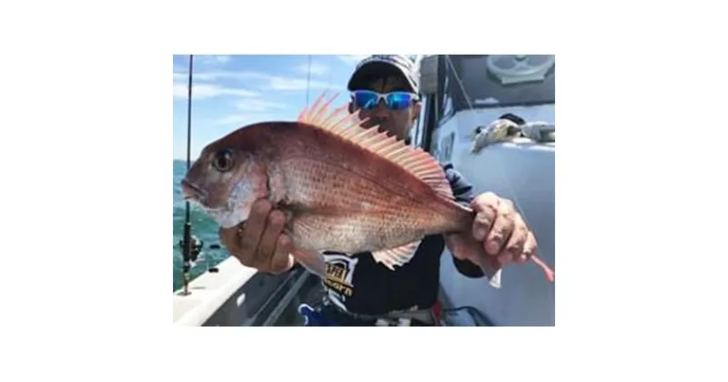 【ふるさと納税】 [ 師崎漁協 ] 釣り船 ルアー 乗合 利用券 1人 乗船券 釣り 乗り合い 船 魚釣り フィッシング 体験 春 夏 秋 冬 魚 さかな チケット レジャー 愛知県 南知多町 人気 おすすめ