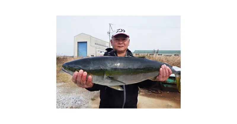 【ふるさと納税】 [ 師崎漁協 ] 釣り船 大物 乗合 利用券 1人 乗船券 釣り 乗り合い 船 魚釣り フィッシング 体験 チケット レジャー 春 夏 秋 冬 魚 さかな 愛知県 南知多町 人気 おすすめ