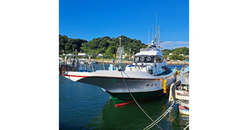 【ふるさと納税】 [ 大井漁協 ] 釣り船 ルアー 乗合 利用券 1人 乗船券 釣り 乗り合い 船 魚釣り フィッシング 体験 チケット レジャー 春 夏 秋 冬 愛知県 南知多町 人気 おすすめ