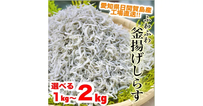 【ふるさと納税】 しらす 1kg 2kg 釜揚げしらす 島の工場から直送 ( ふるさと納税しらす ふるさと納税 ちりめん ふるさと納税 釜揚げ しらす ふるさと納税 日間賀 島 丸豊 ふるさと納税 南知多 ランキング ) 愛知県 南知多町 人気 おすすめ