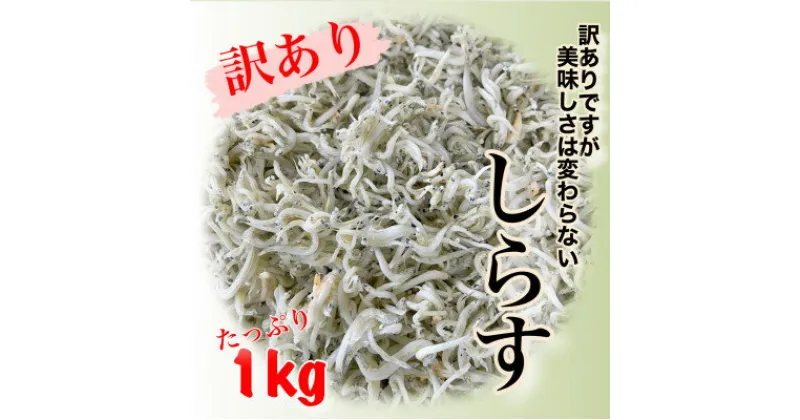 【ふるさと納税】 しらす 1kg ふるさと 納税 訳あり ( ふるさと納税しらす ふるさと納税 ちりめん ふるさと納税 釜揚げ しらす 魚 さかな 減塩 国産 シラス おつまみ おにぎり 離乳食 ご飯 ごはん ピザ サラダ 便利 丼 料理 日間賀 島 丸豊 ランキング ) 愛知県 南知多町