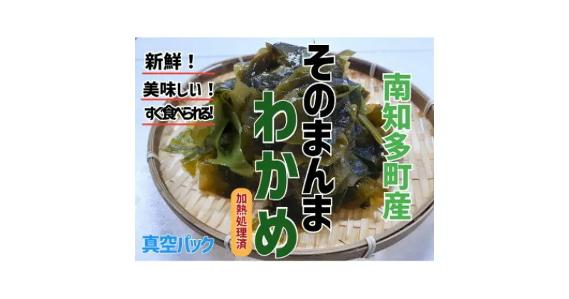 【ふるさと納税】 真空 そのまんま わかめ 100g × 6 パック 冷凍 真空パック ワカメ 味噌汁 サラダ 海鮮 新鮮 魚介 海の幸 海産物 刺身 国産 シーフードエム・エム 愛知県 南知多町